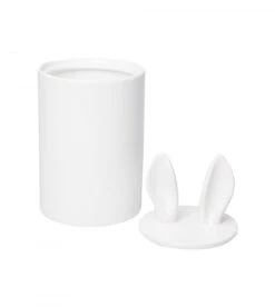 Intérieure Décoration Magasin -Intérieure Décoration Magasin container decoratif curiosity 1