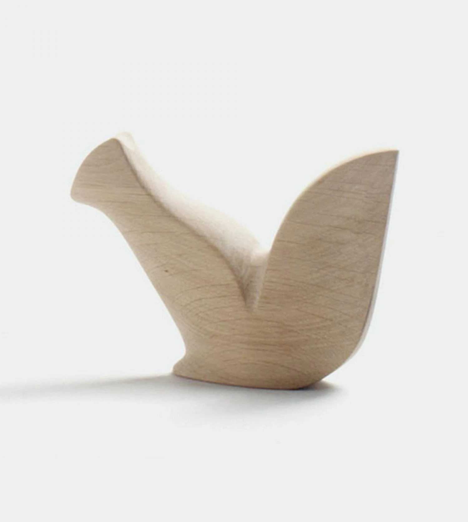 Ecureuil Urtxintxa 3 Ecureuil Urtxintxa – Image 3