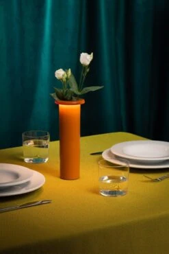 Magis Lampe Sans Fil Bouquet -Intérieure Décoration Magasin lampe sans fil bouquet 7