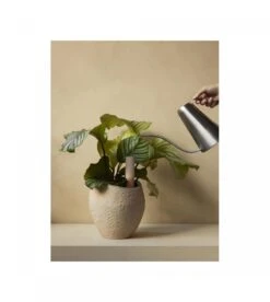 Tige D'arrosage Hydrous (set De 2) -Intérieure Décoration Magasin tige d arrosage hydrous set de 2 1 2