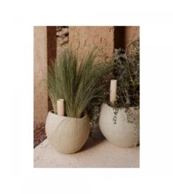 Tige D'arrosage Hydrous (set De 2) -Intérieure Décoration Magasin tige d arrosage hydrous set de 2 1 3